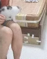 淄博张店熟妇大概四十左右个子170以上